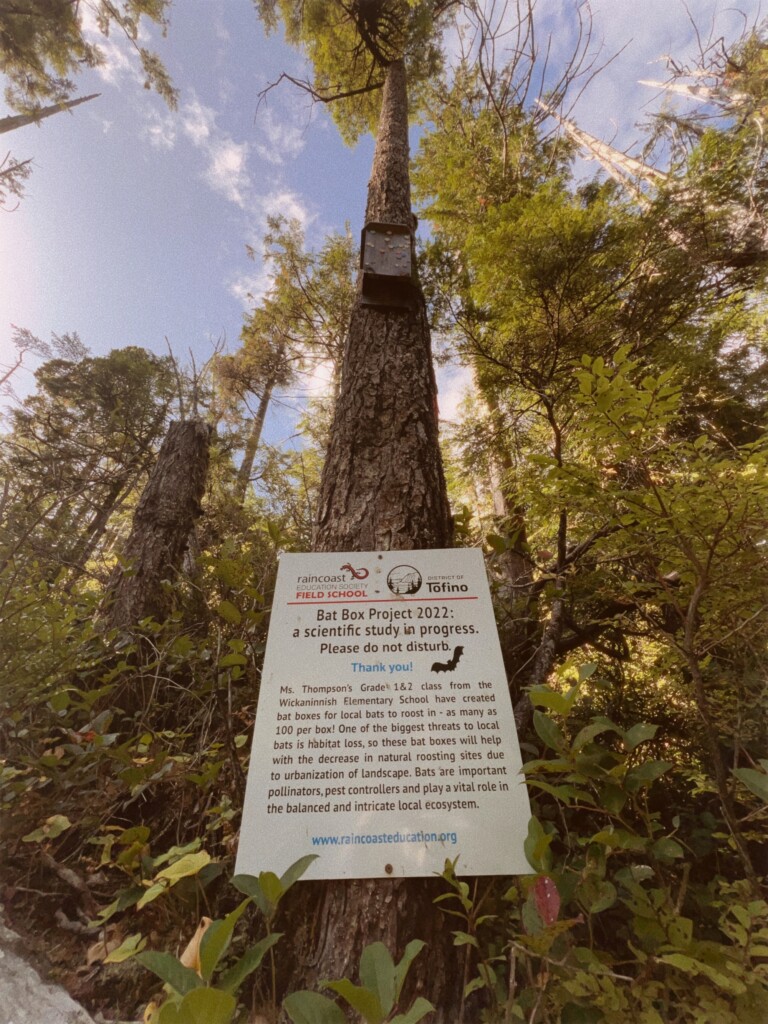 Tofino Bat Box Program by Jill Nancy Photography