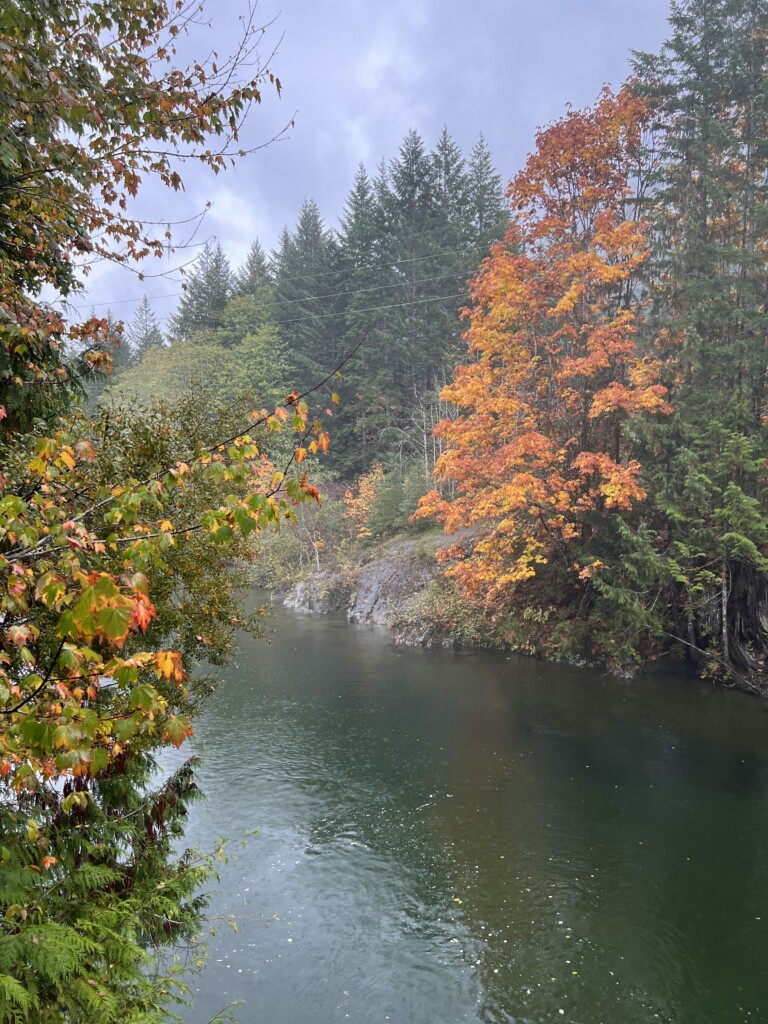 Snow Creek Rest Stop