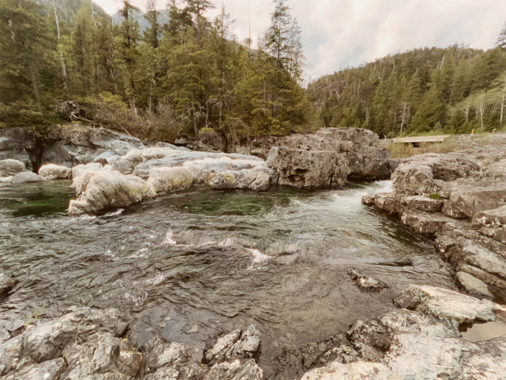 Wally Creek Crossing