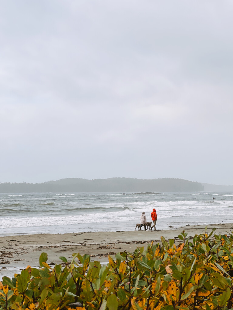 Couple walks on beach