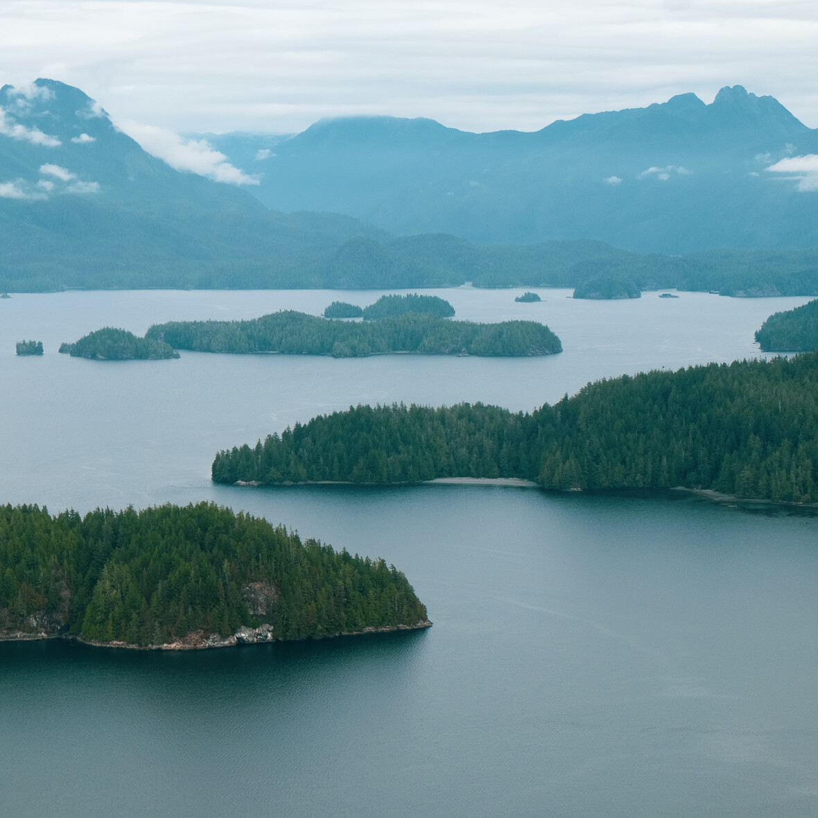 Our Blog | Ocean Village Resort | Tofino, BC